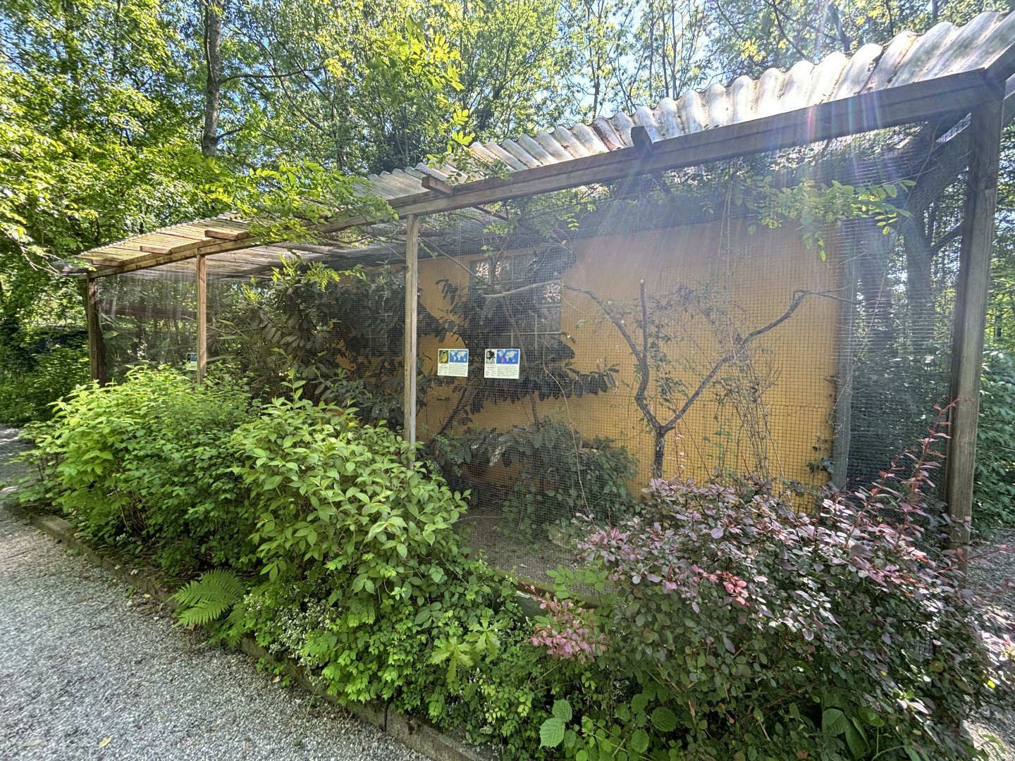 Motmot and co. Enclosure