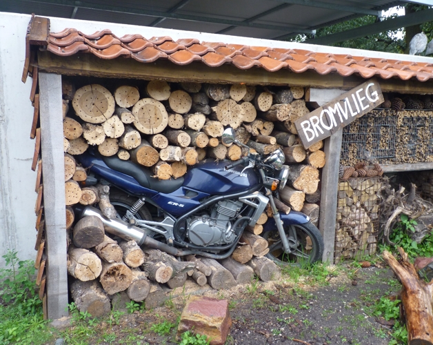 Motorbike embibbed in an insect hotel
