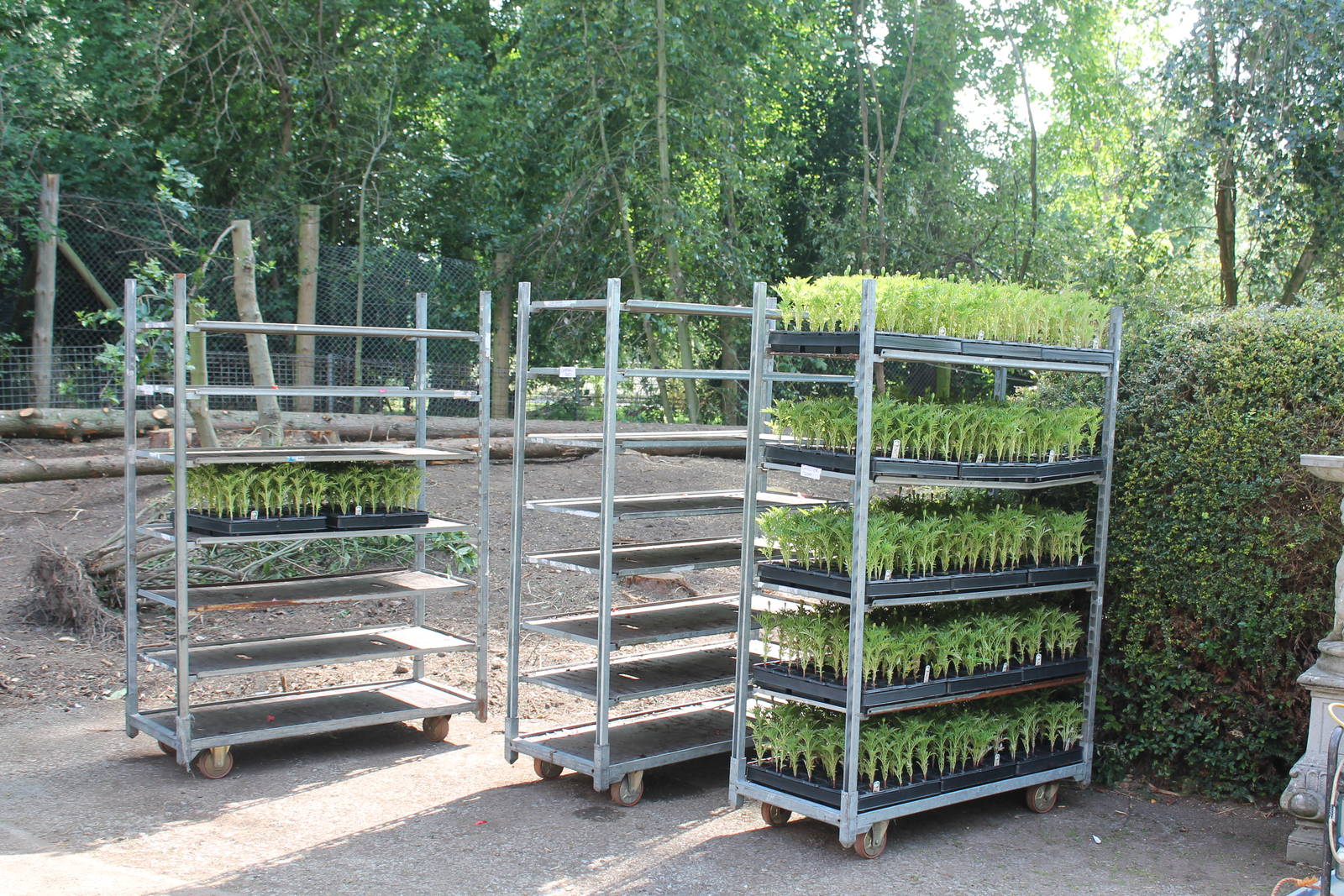 Mottershead Memorial Garden 11th June 2013