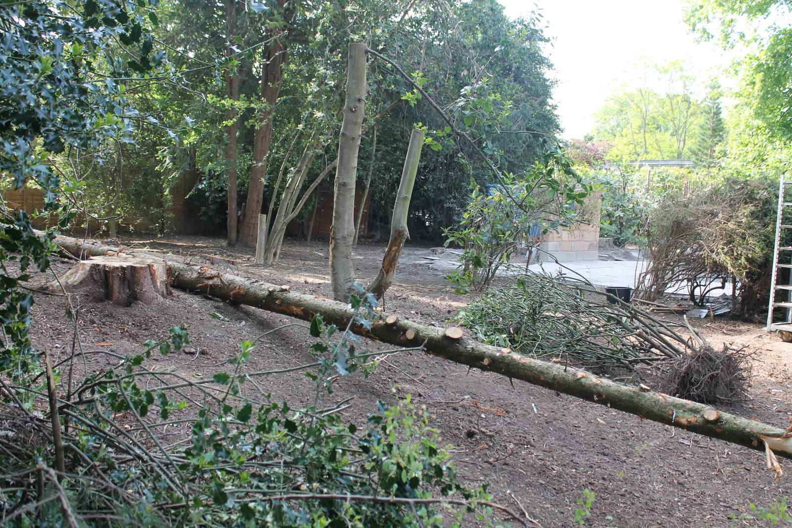 Mottershead Memorial Garden 11th June 2013