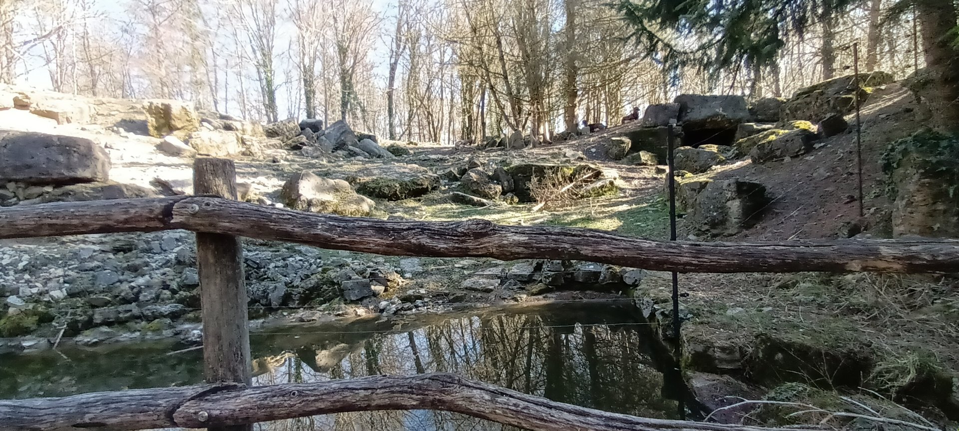 Mouflon Enclosure