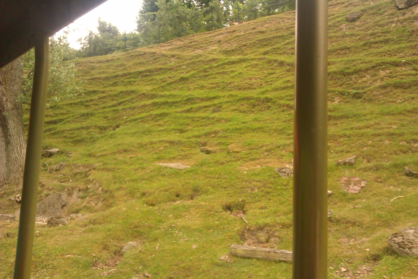 Mouflon Hill exhibit