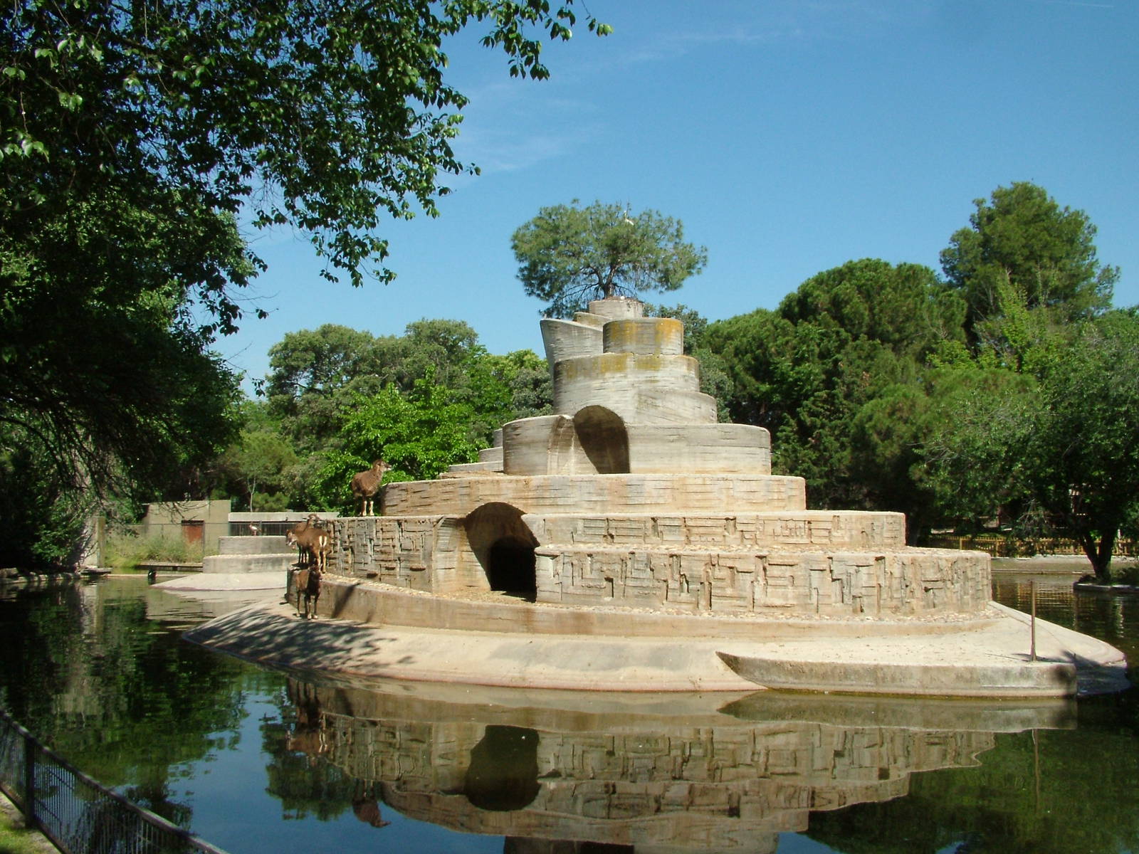 Mouflon Island at Madrid Zoo Aquarium, 26/05/11