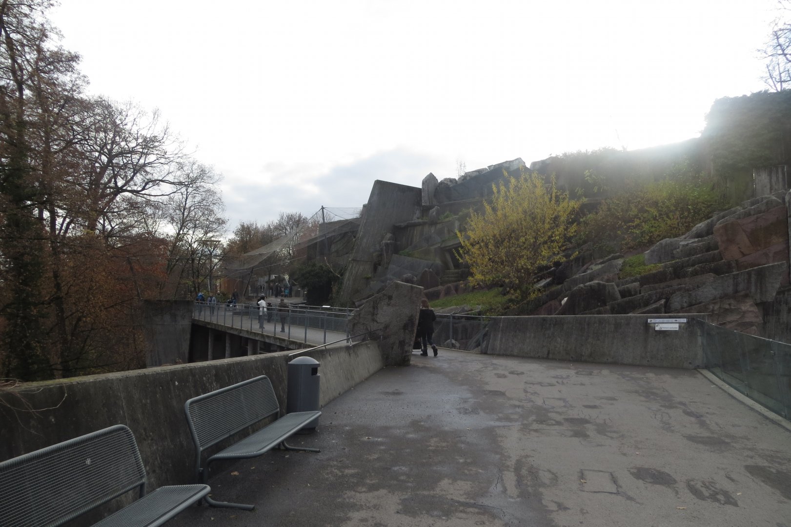 Mountain animal exhibits 011218