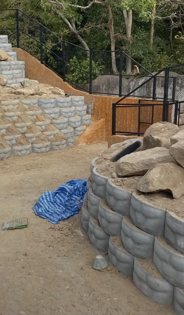 Mountain animal exibit construction open in 2025