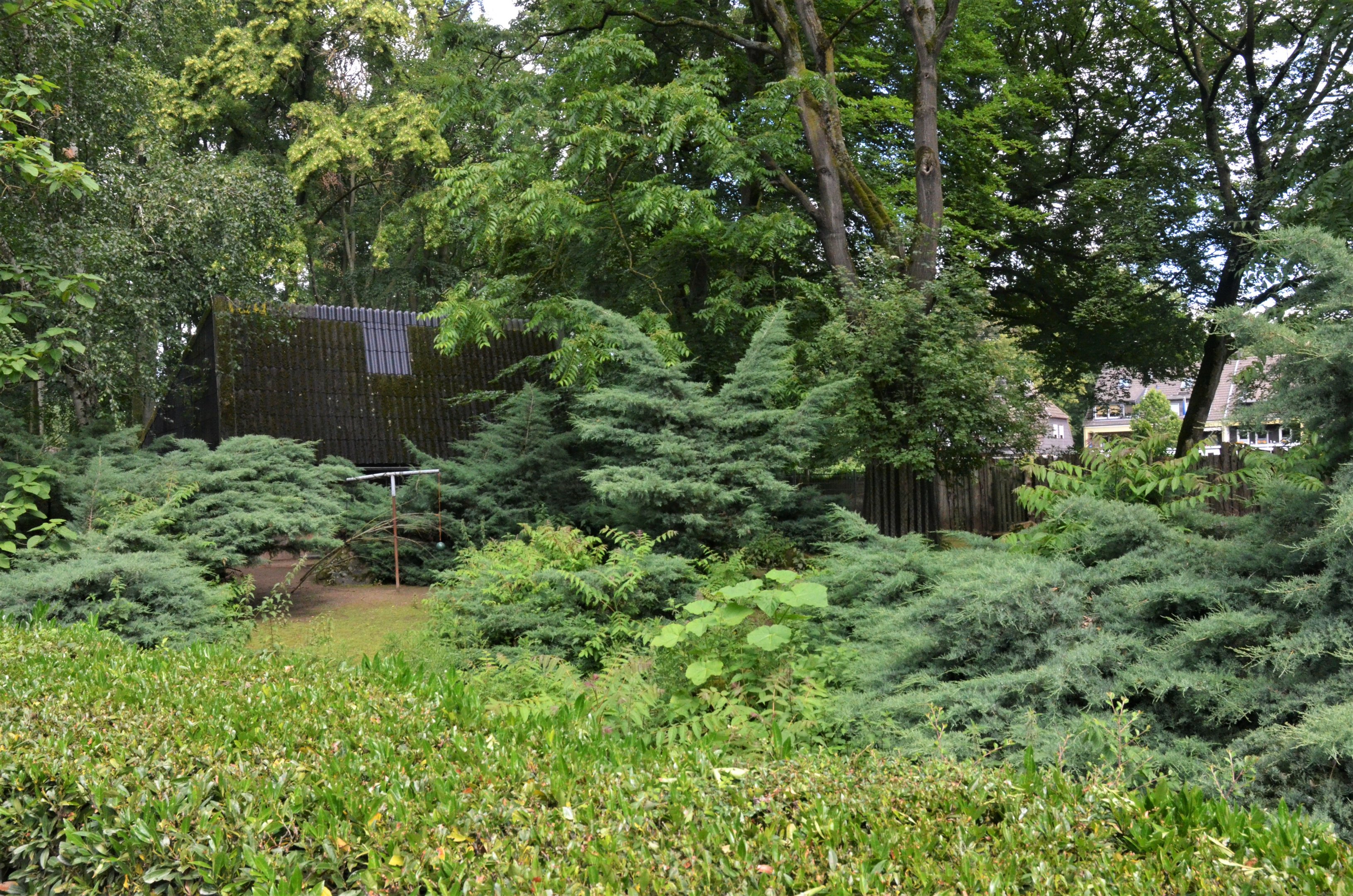 Mountain Anoa Enclosure at Krefeld, 15/06/19