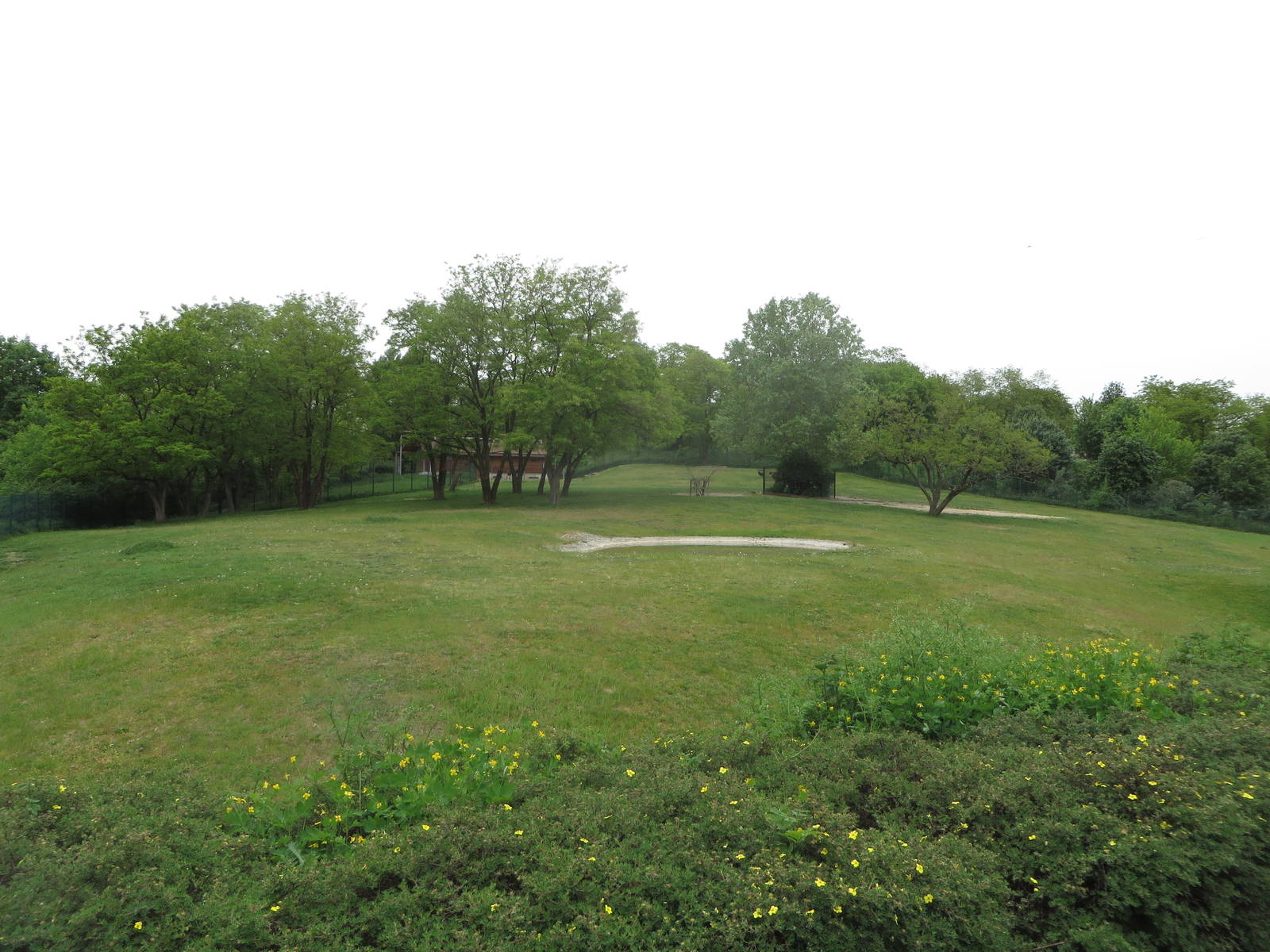 Mountain area - European elk