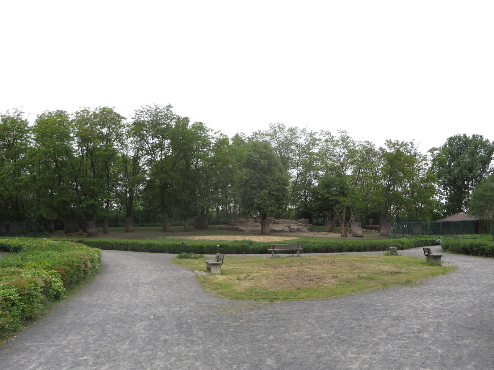 Mountain area - Sichuan takin