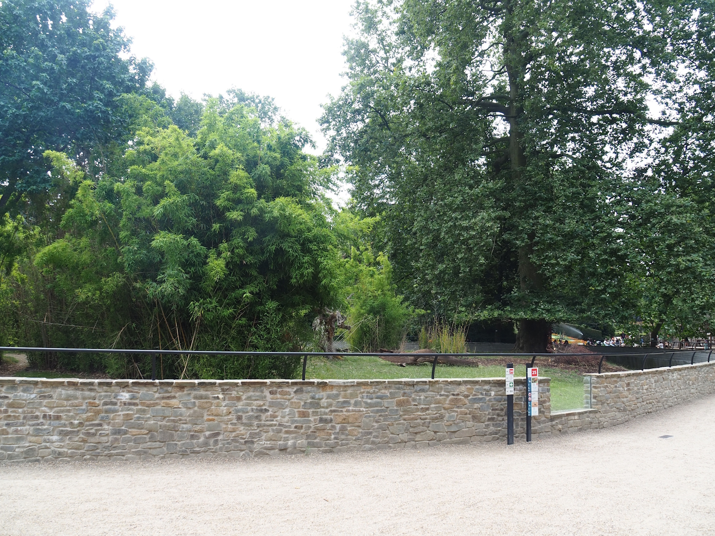 Mountain bongo and Kirk's dik-dik exhibit, 2023-07-22
