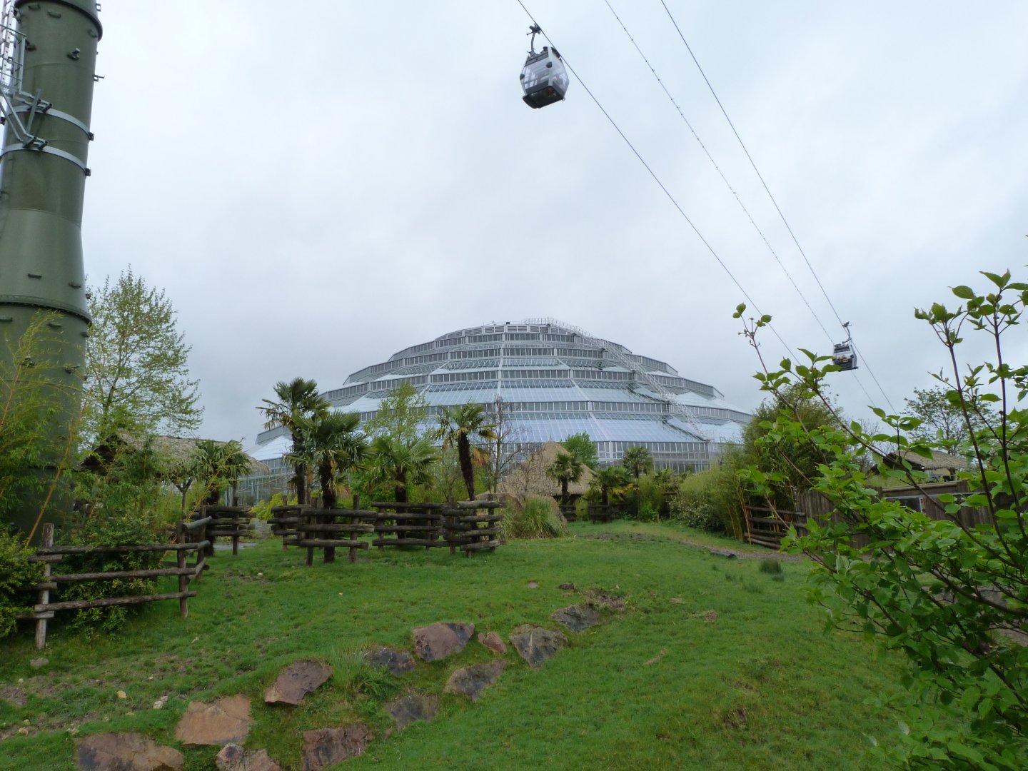 Mountain bongo and Wattled crane exhibit -ZooParc de Beauval (2025)