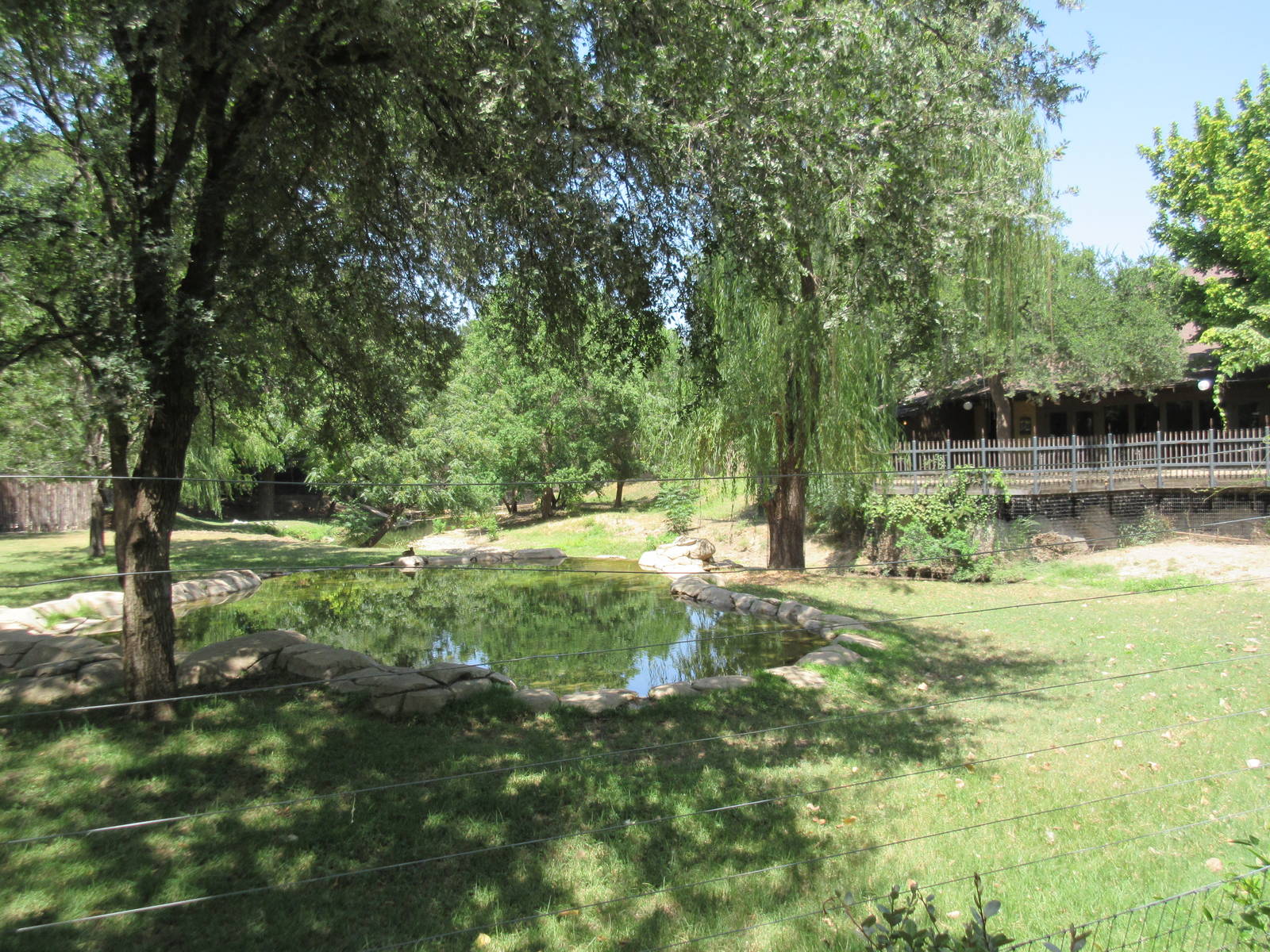 Mountain Bongo/Common Waterbuck/West African Crowned Crane Exhibit