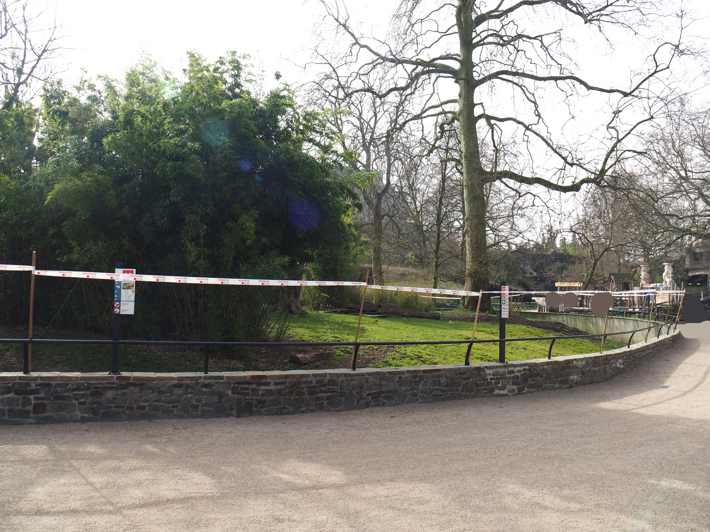 Mountain bongo paddock, 2022-03-16