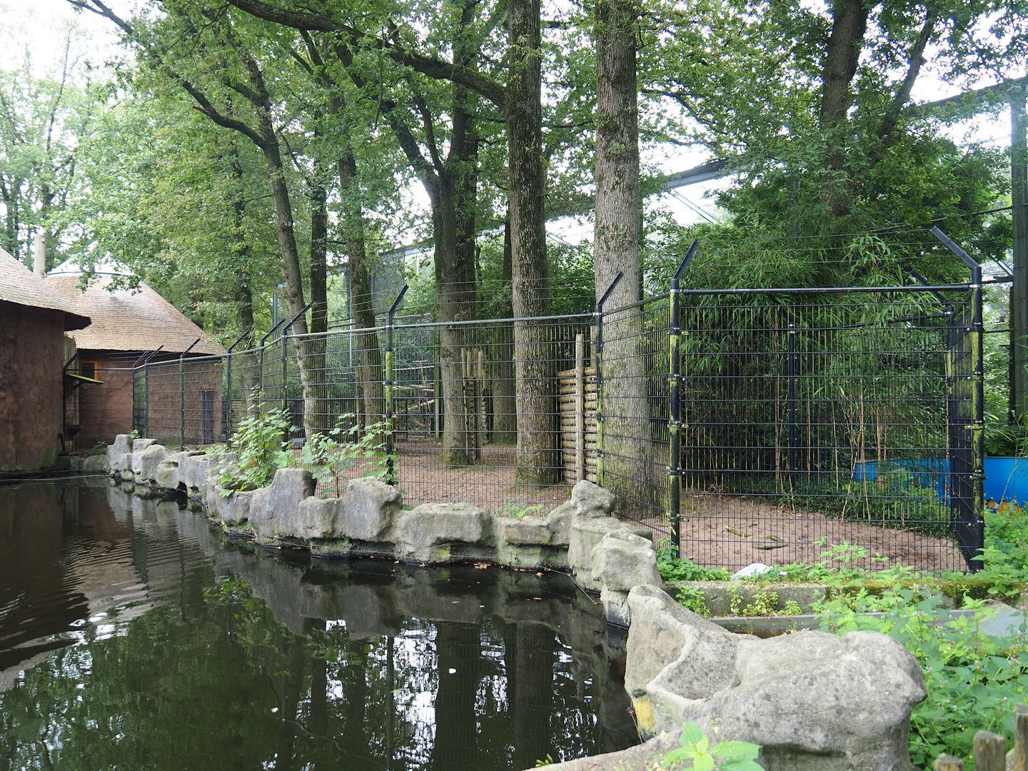 Mountain bongo paddock, 2023-08-17