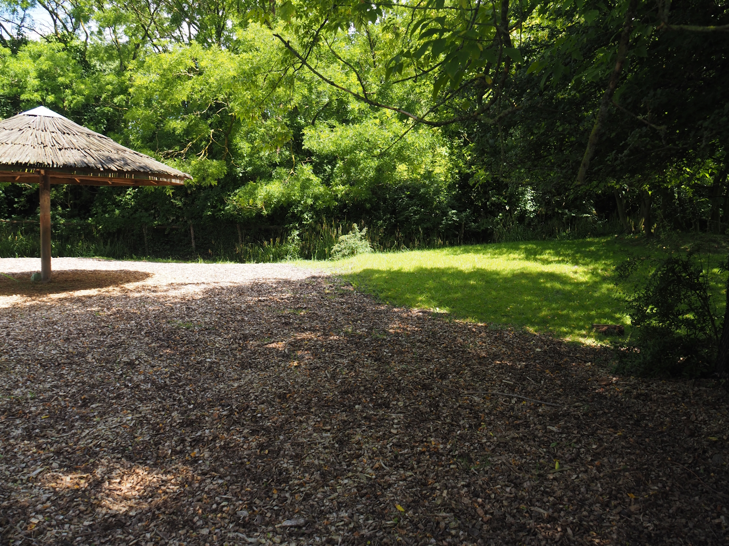 Mountain bongo paddock, 2024-06-30