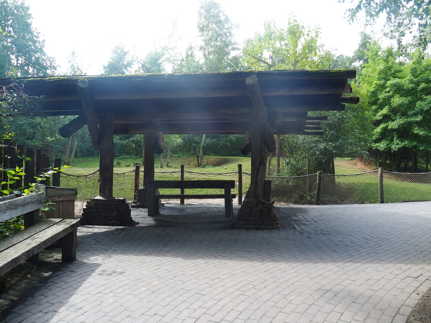 Mountain bongo paddock and viewing area, 2022-08-20