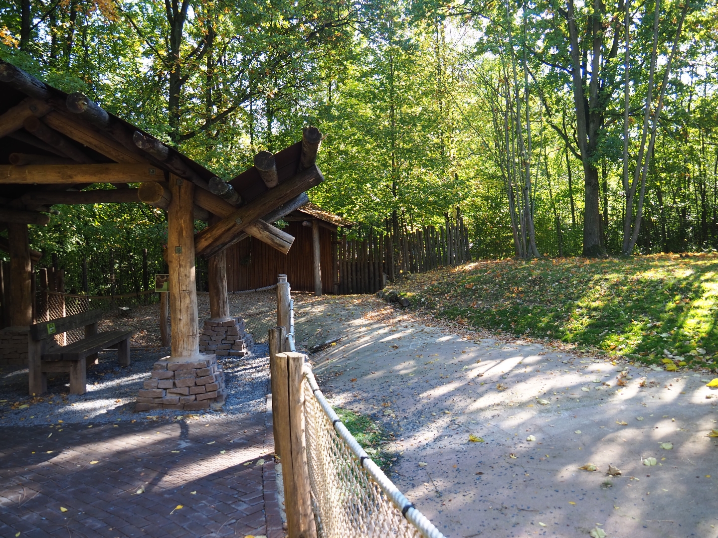 Mountain bongo paddock and viewing area (Oct 13th, 2018)
