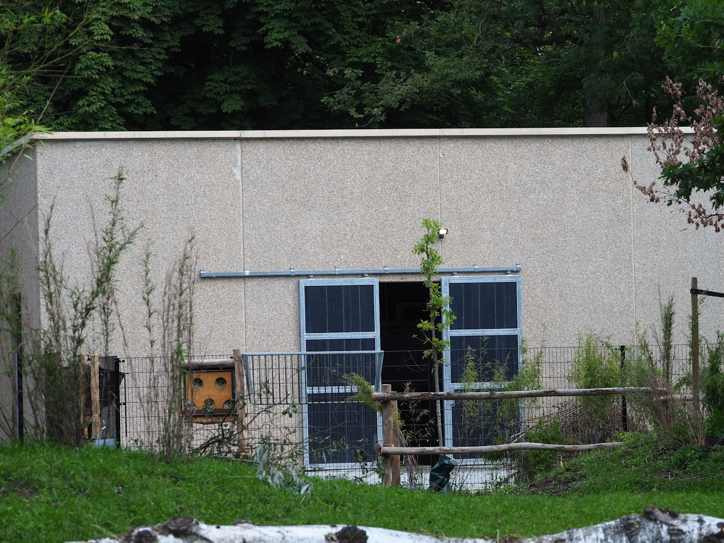 Mountain bongo side of the new African ungulate house, finished in 2023, 2023-07-26