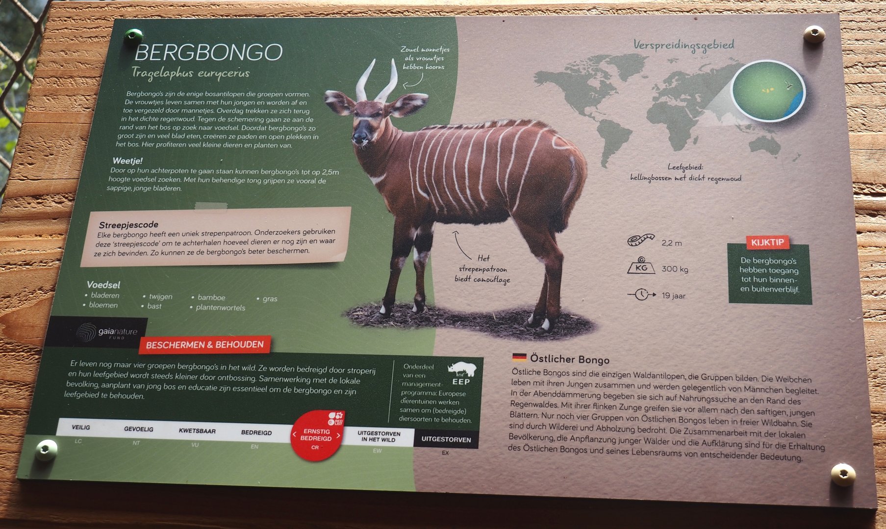 Mountain bongo signage, 2025-09-30