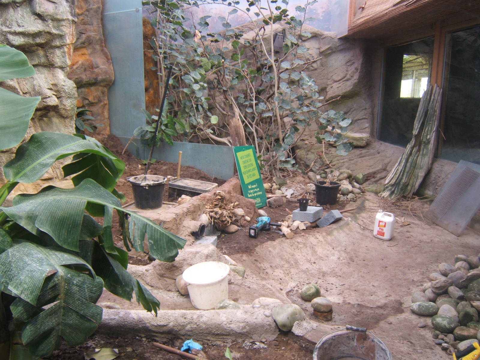 Mountain Chicken exhibit being re-furbed