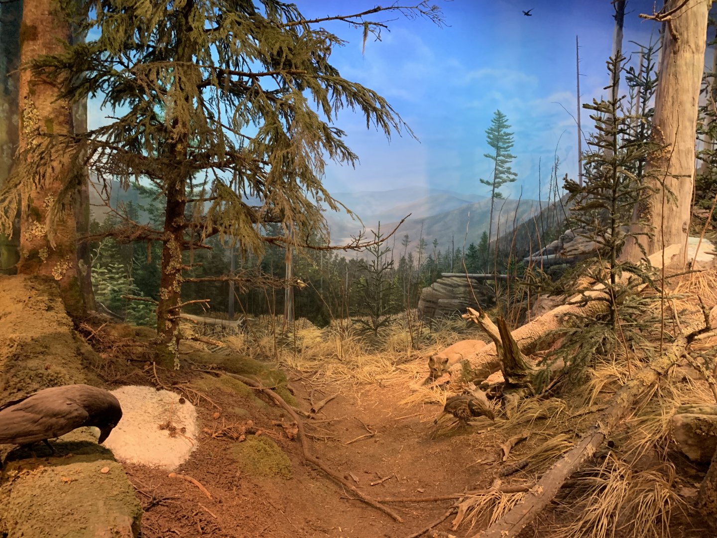 Mountain Cove Exhibit