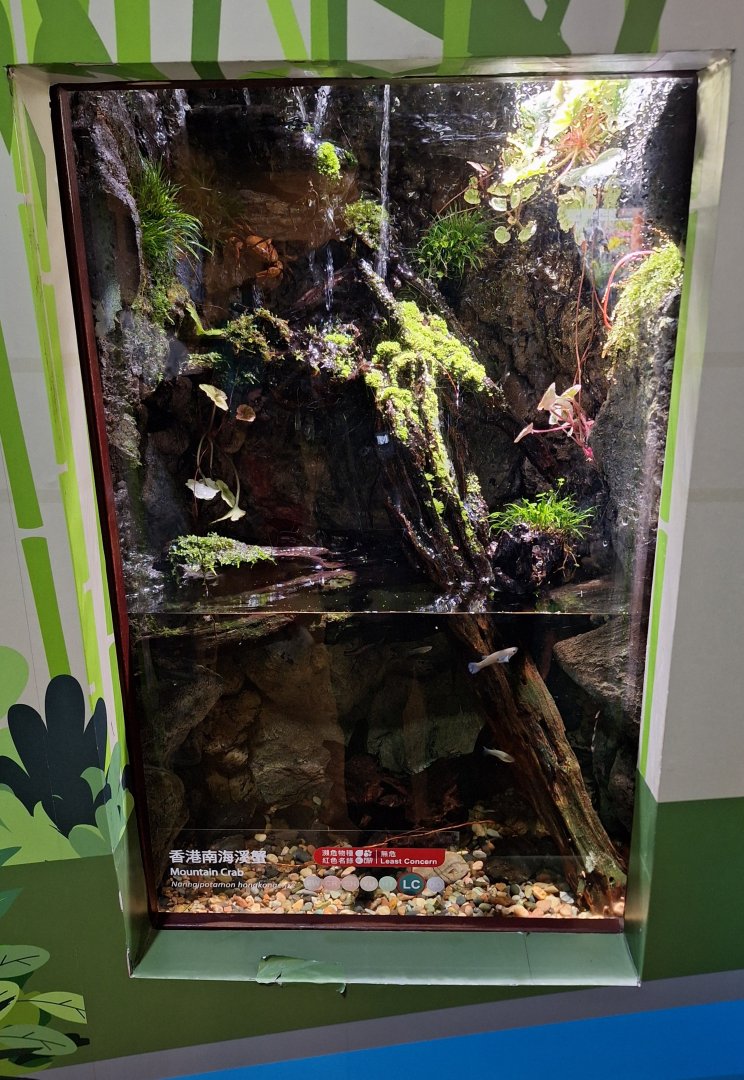 Mountain Crab Enclosure