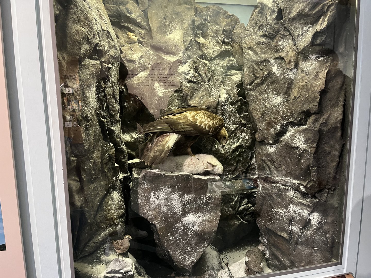 Mountain display (taken at Inverness museum 3.4.24)