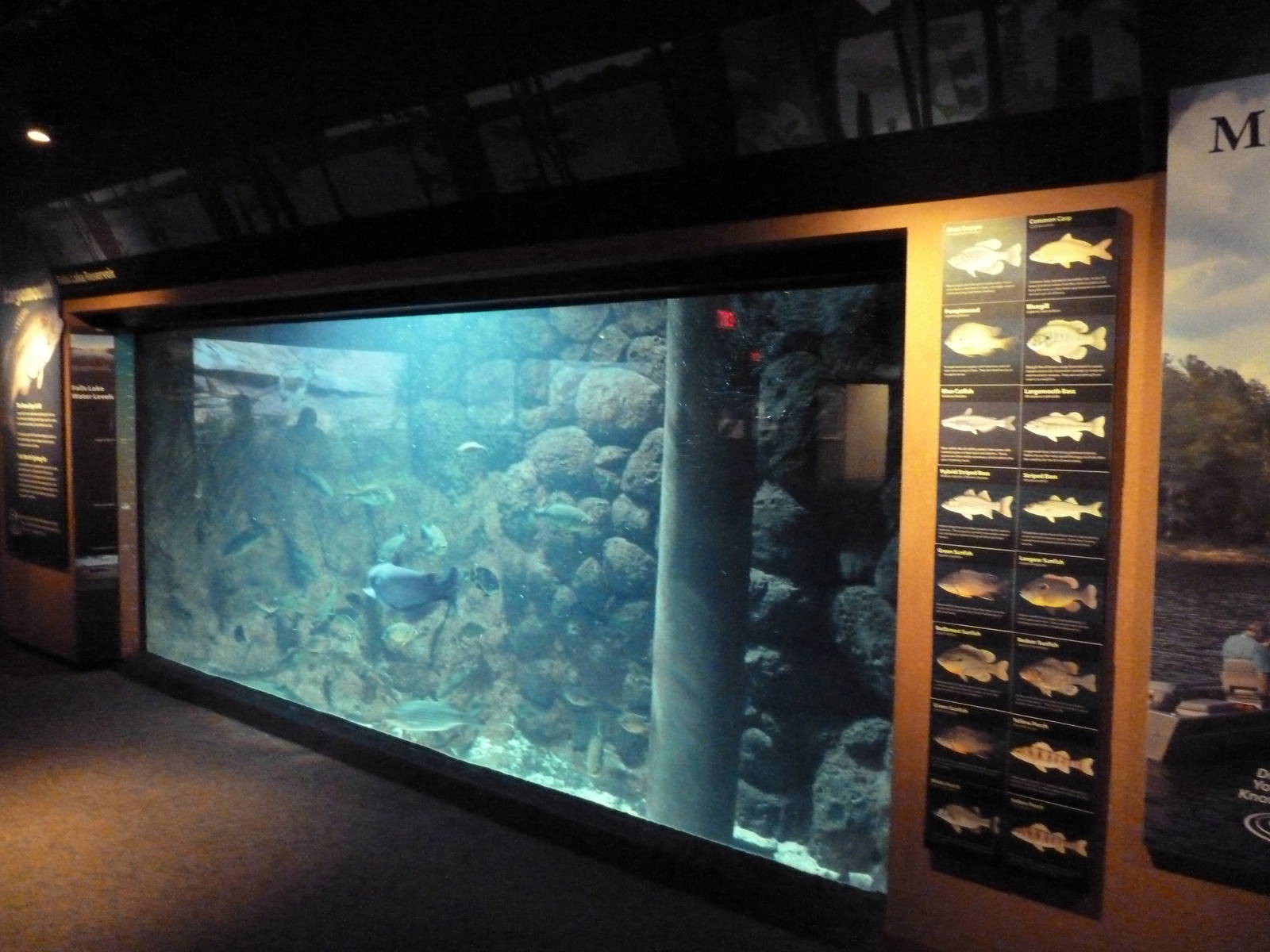 Mountain Gallery Exhibit