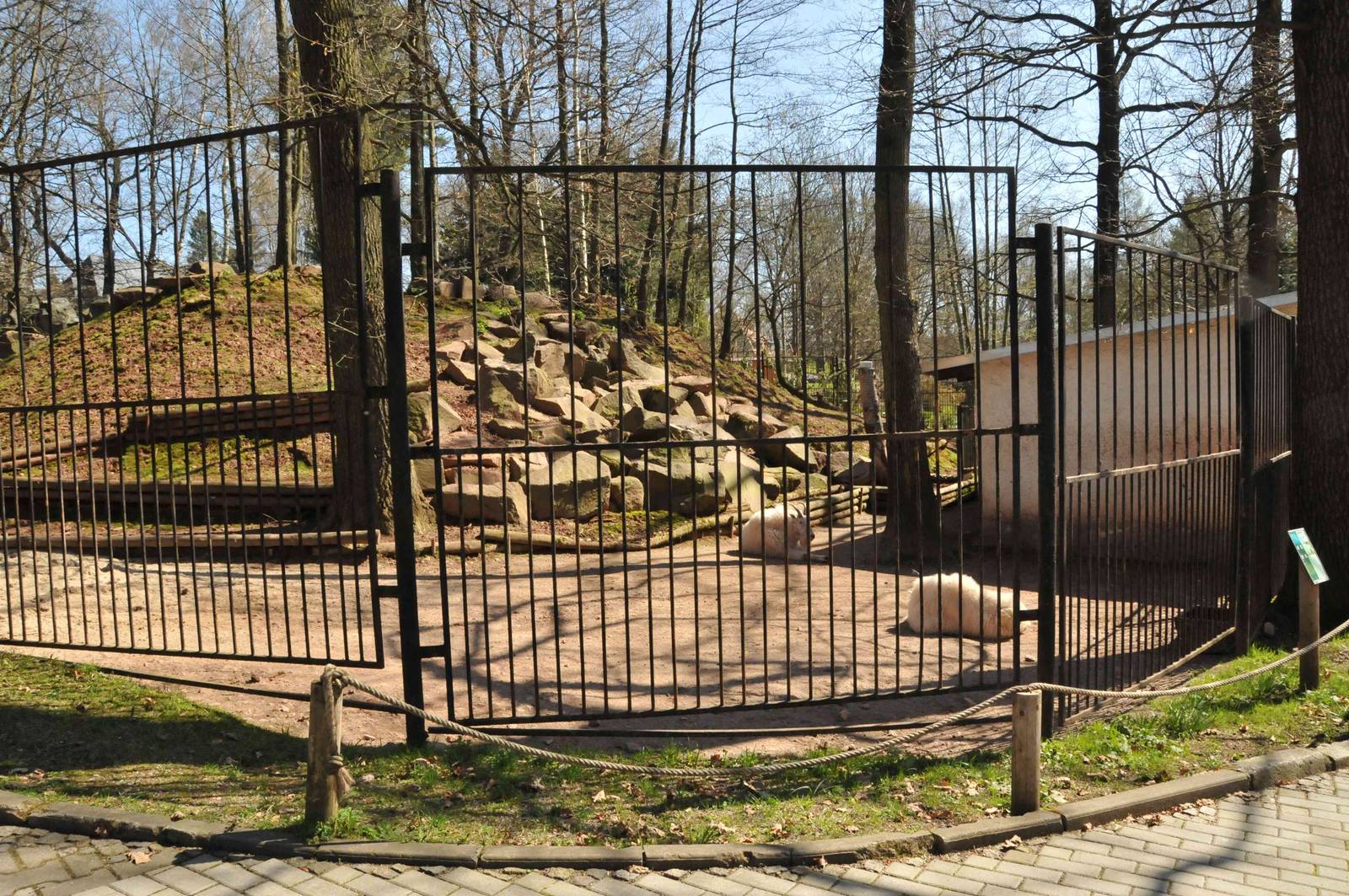 Mountain Goat enclosure
