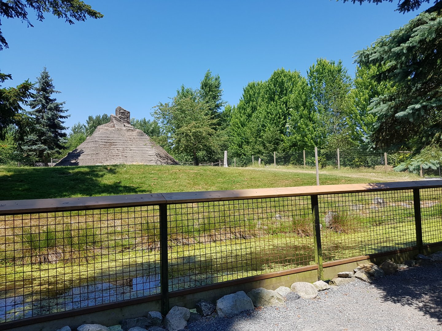 Mountain Goat Exhibit