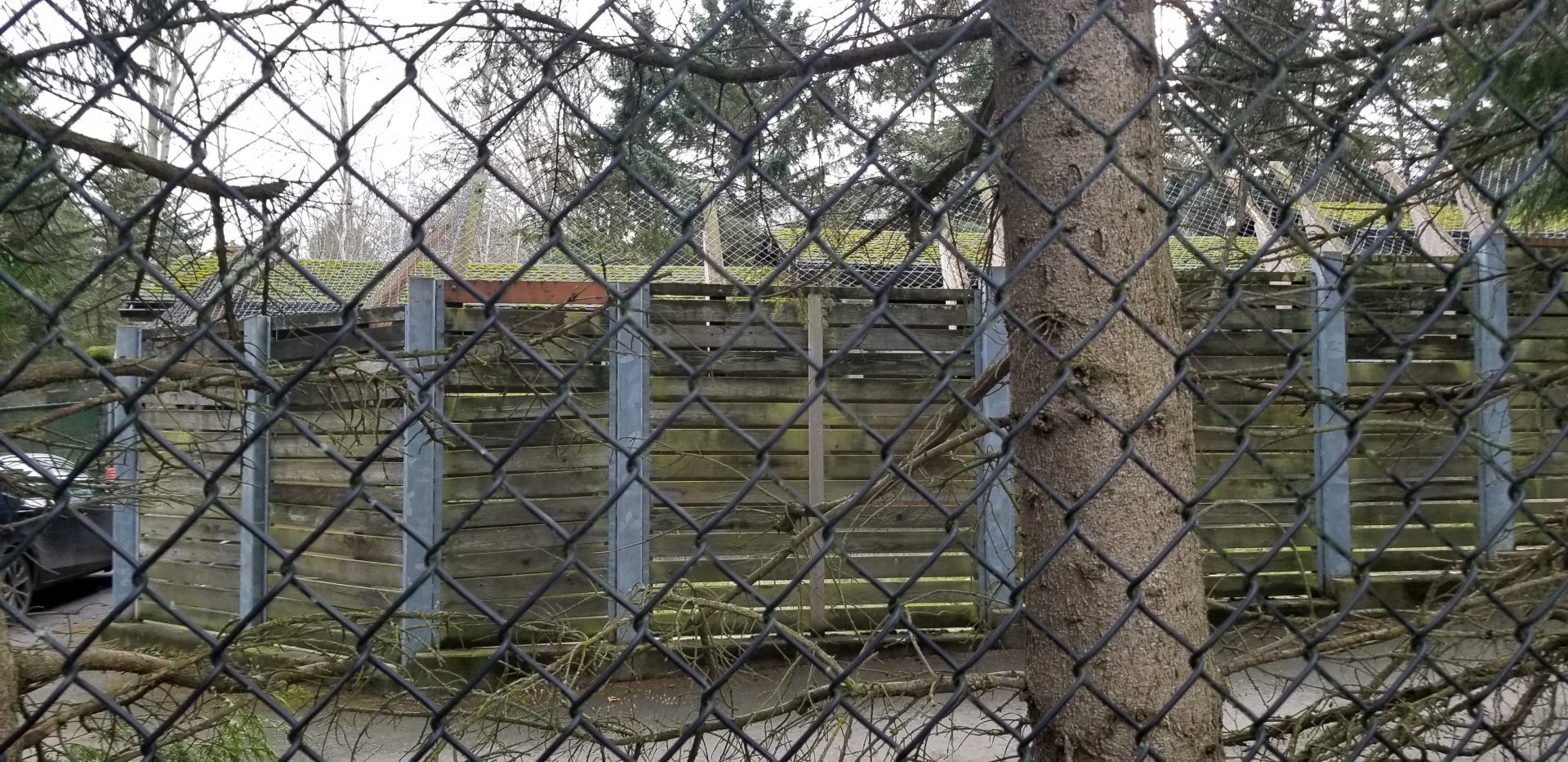 Mountain Goat Holding