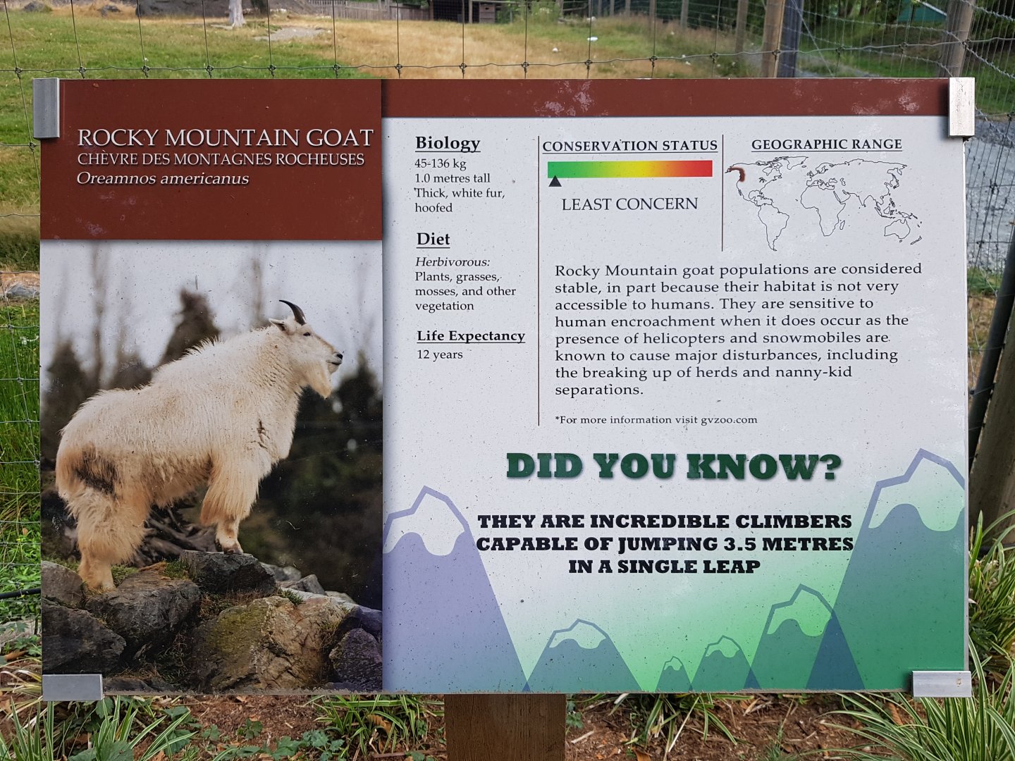 Mountain Goat Sign
