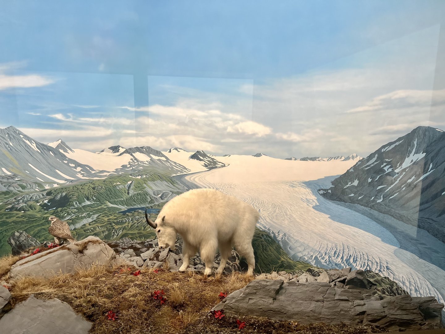 Mountain Goat with Diorama Detail