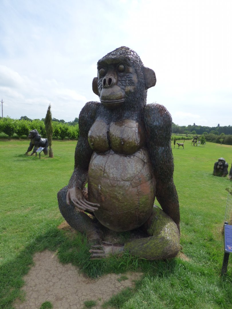 Mountain Gorilla at British Iron Works Centre
