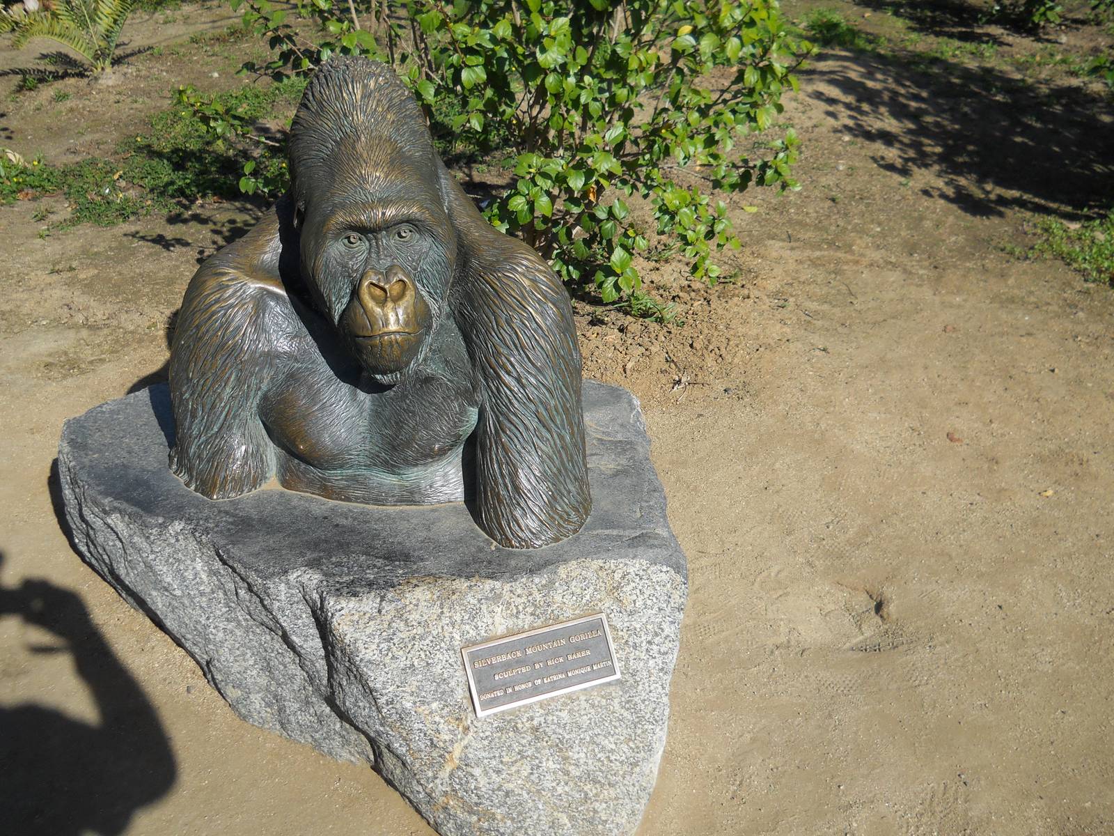 Mountain gorilla sculpture by the famous movie artist Rick Baker