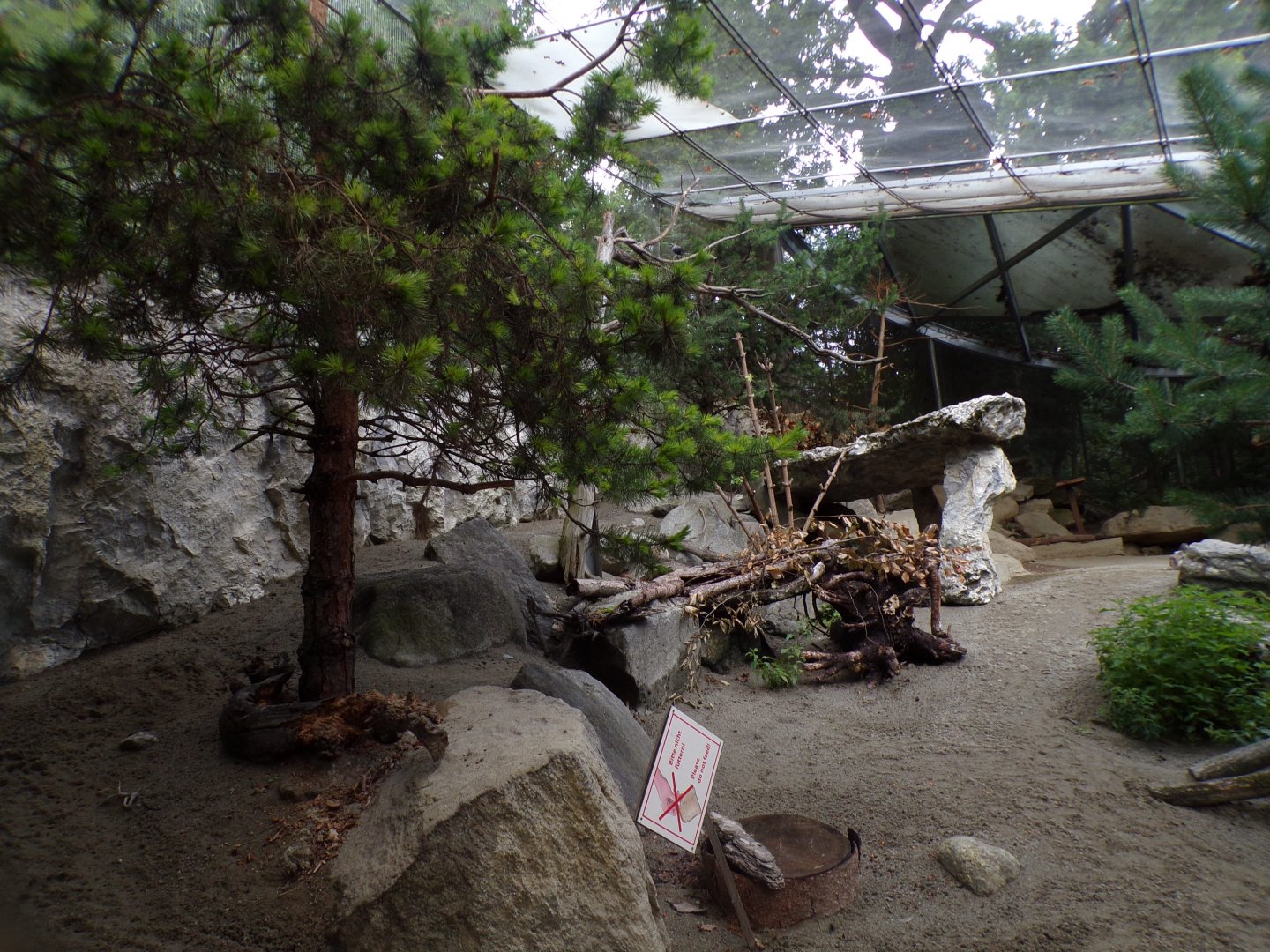 Mountain hare, black grouse and nutcracker aviary 9.7.25