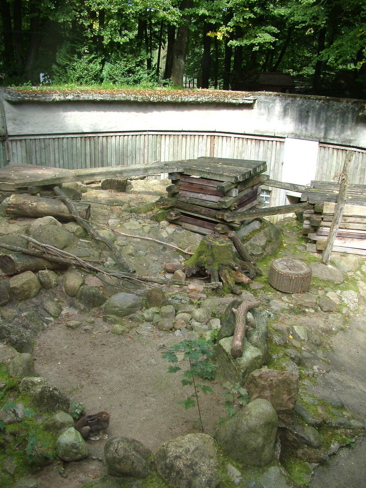 Mountain Hare enclosure at Tierpark Neumuenster 2007