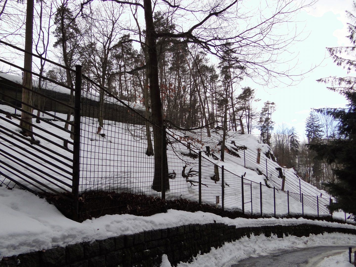 Mountain hoofed mammals enclosure