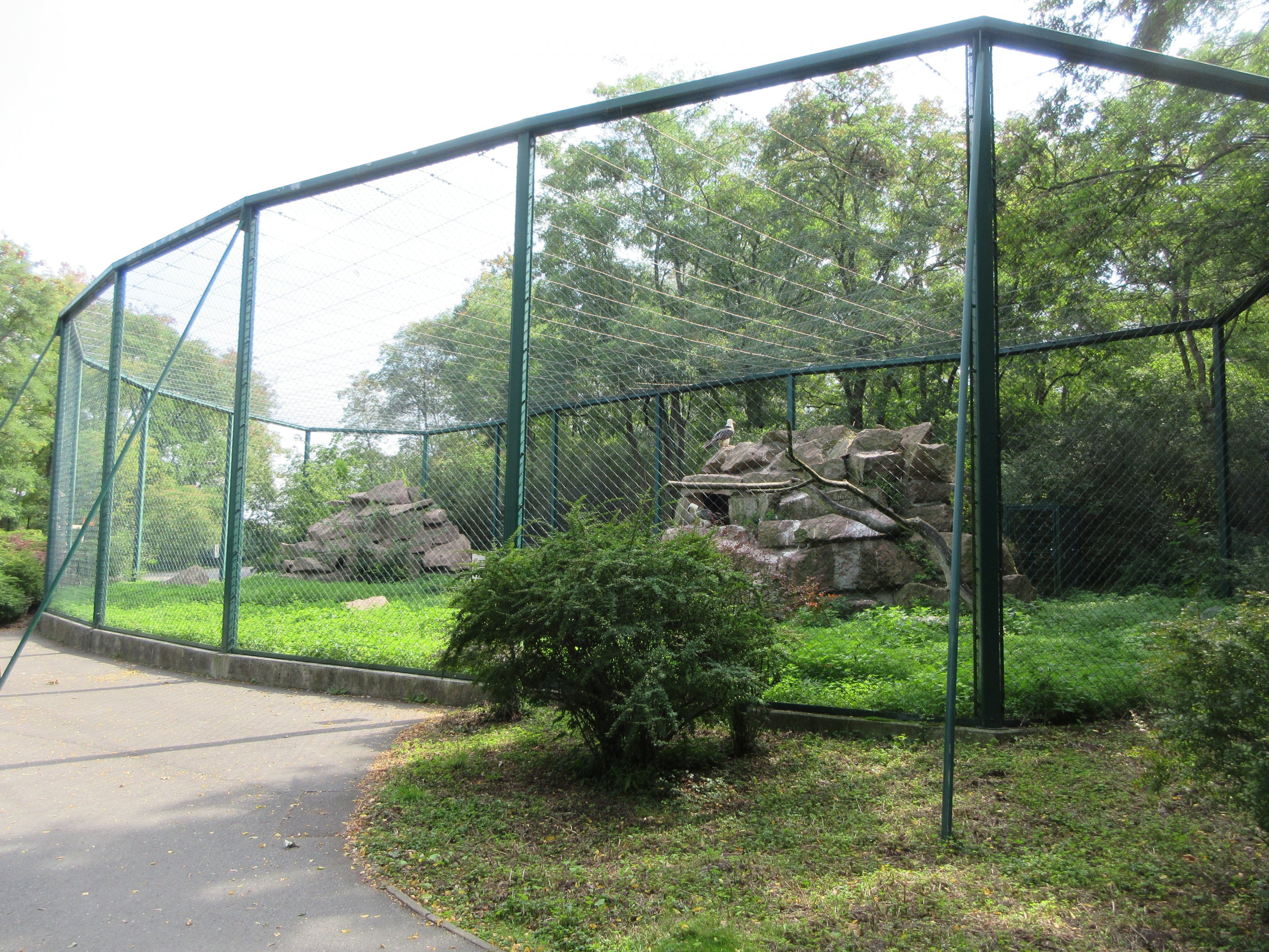 Mountain Landscape - Bearded Vulture Exhibit