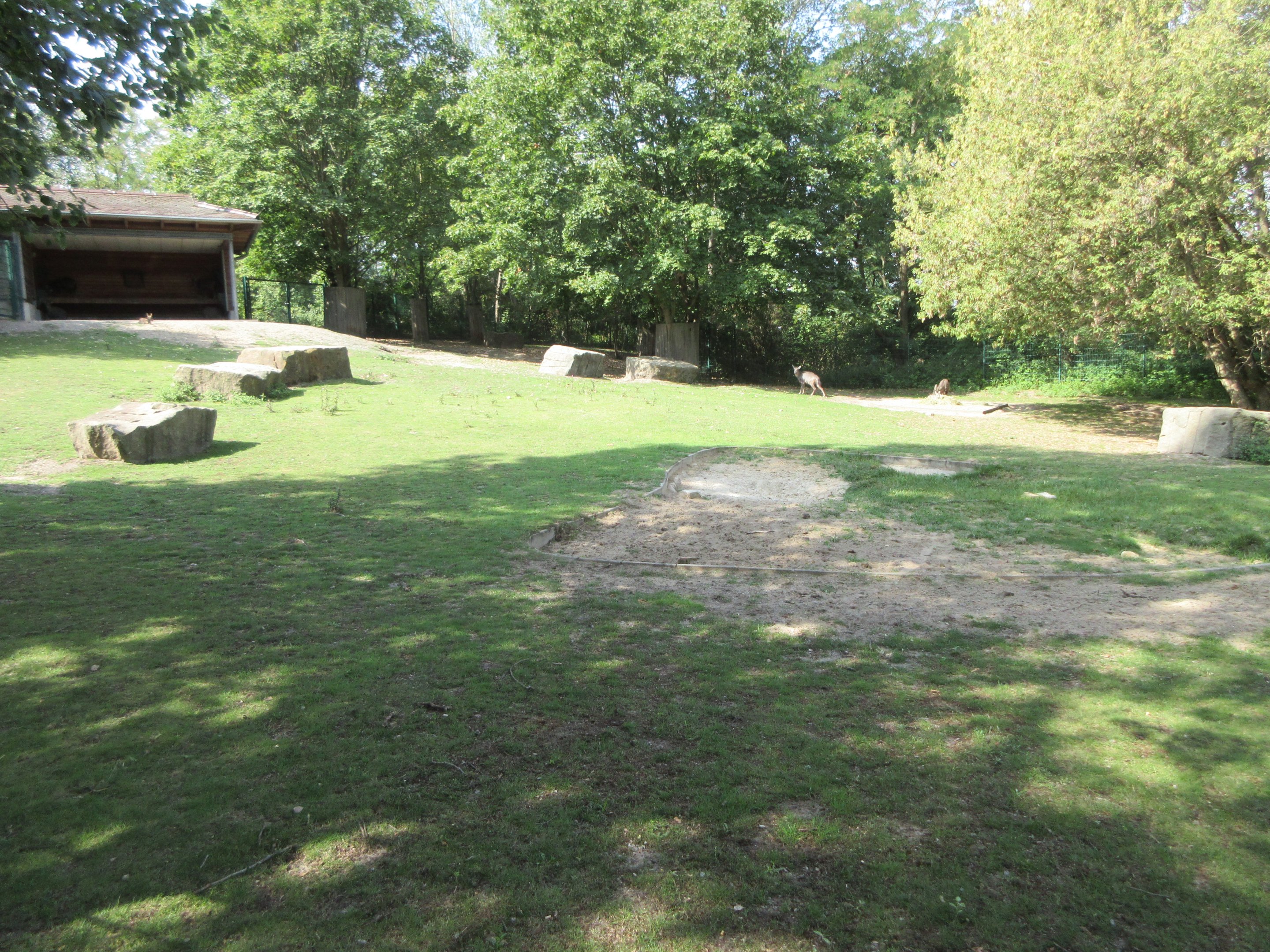 Mountain Landscape - Chinese Goral Exhibit