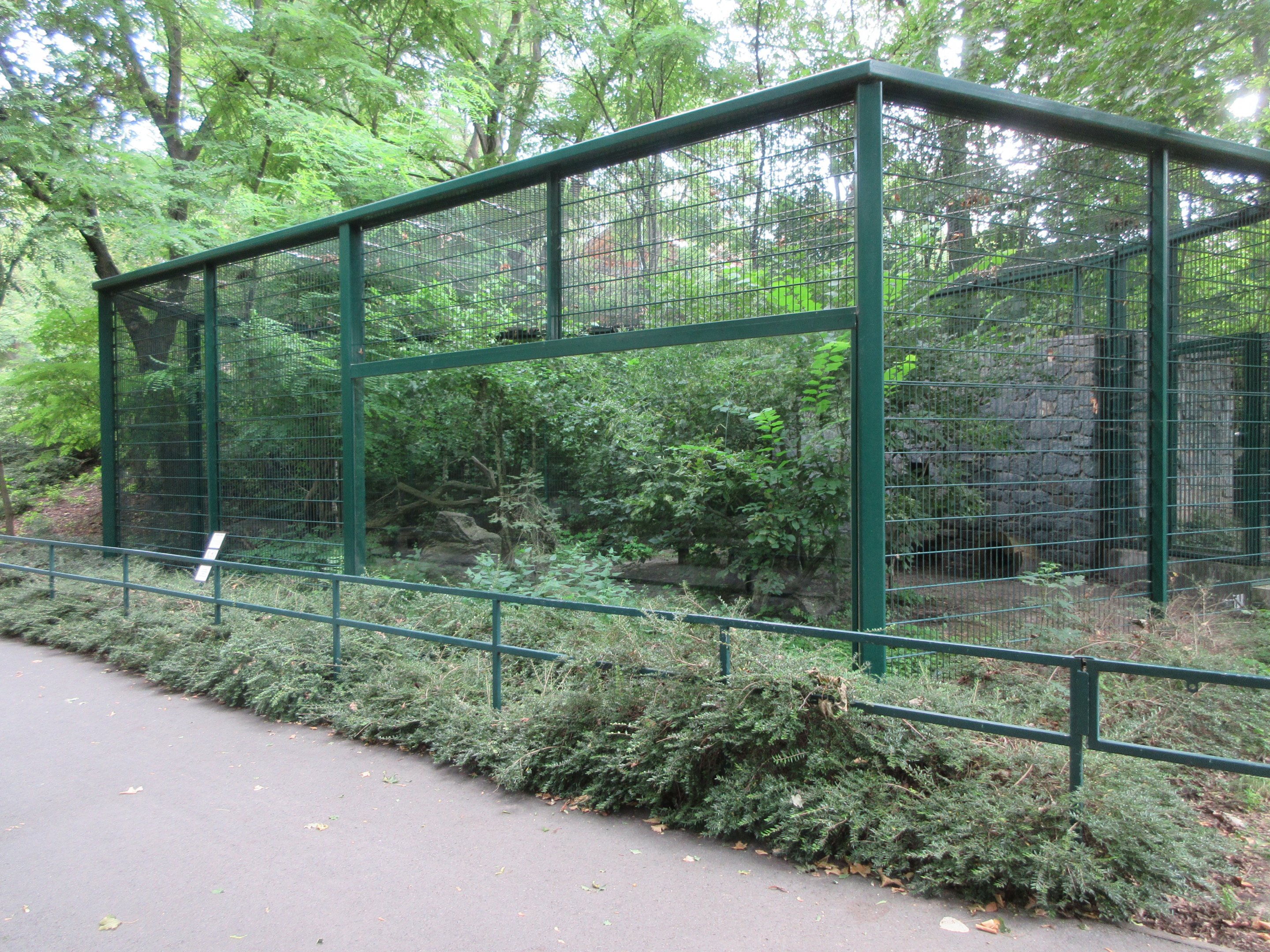 Mountain Landscape - European Wildcat Exhibit
