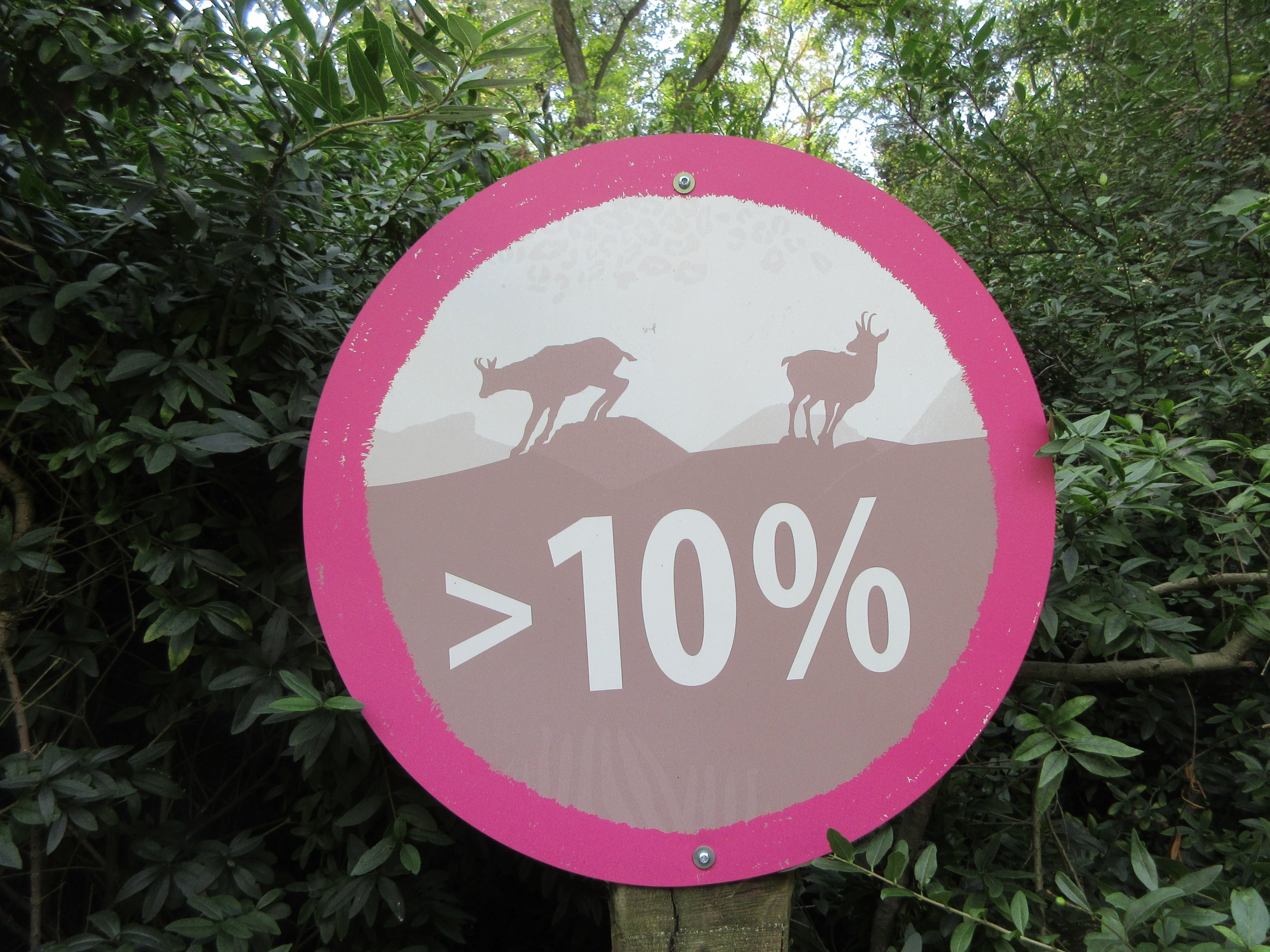 Mountain Landscape - Gradient Sign