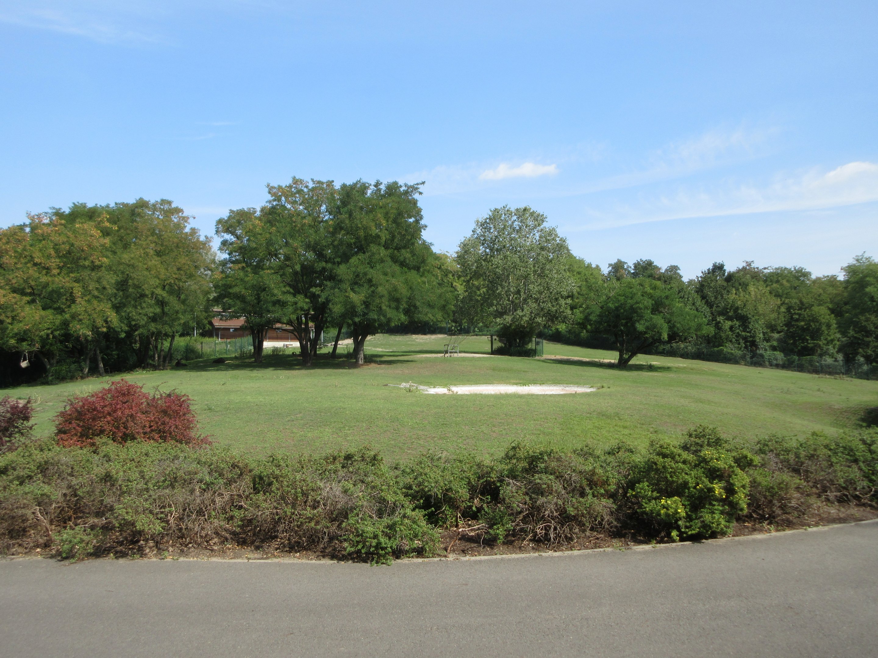 Mountain Landscape - Moose/Mouflon Exhibit
