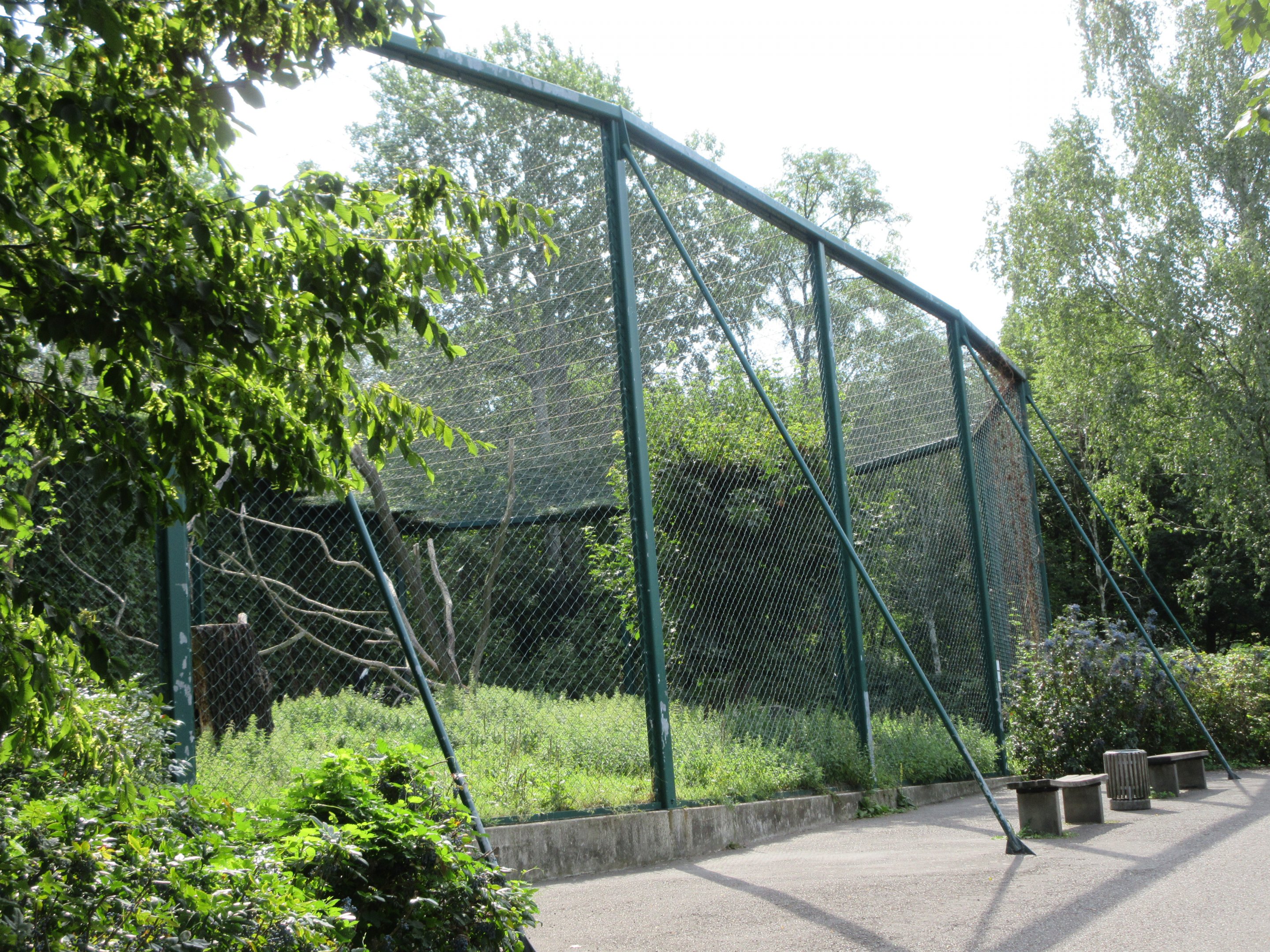 Mountain Landscape - Steller's Sea Eagle Exhibit