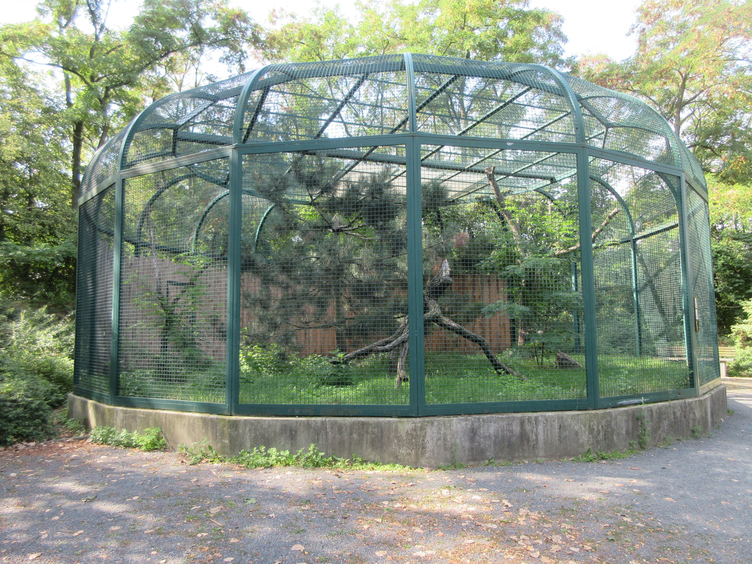 Mountain Landscape - Ural Owl Exhibit