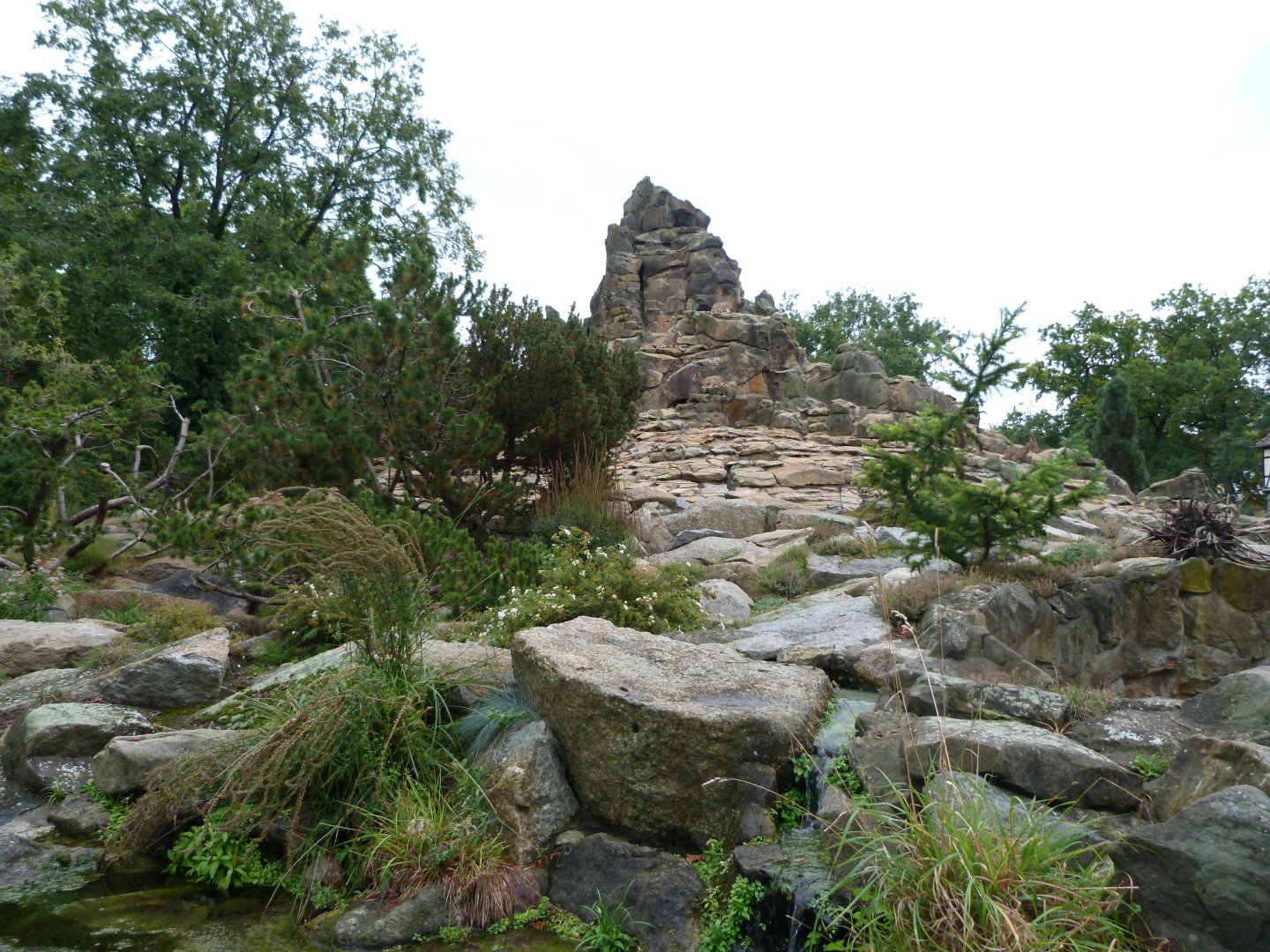 Mountain landscape -Zoologischer Garten Berlin (2024)