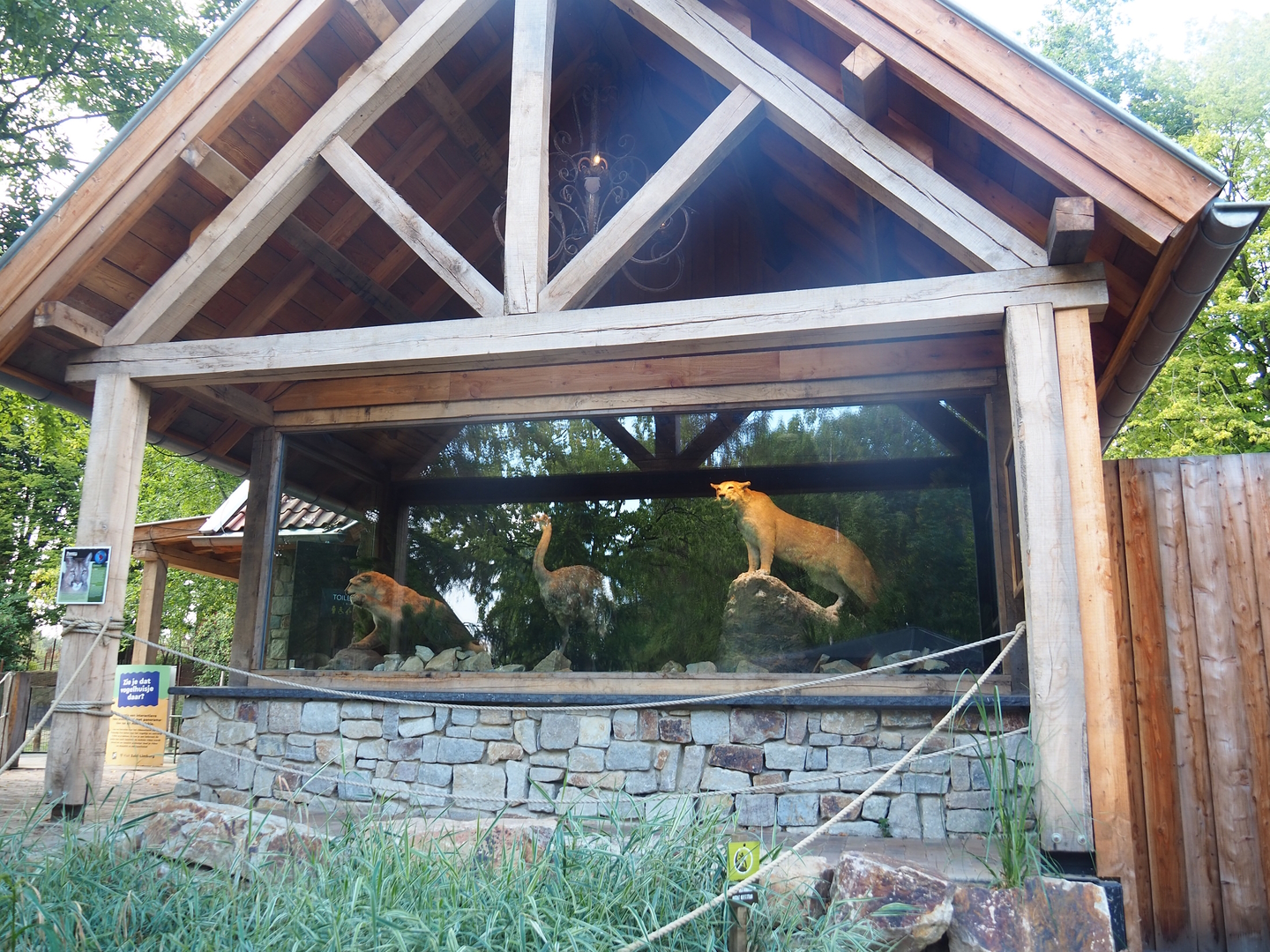 Mountain lion and Darwin's rhea taxidermy display next to toilet building, 2022-08-20