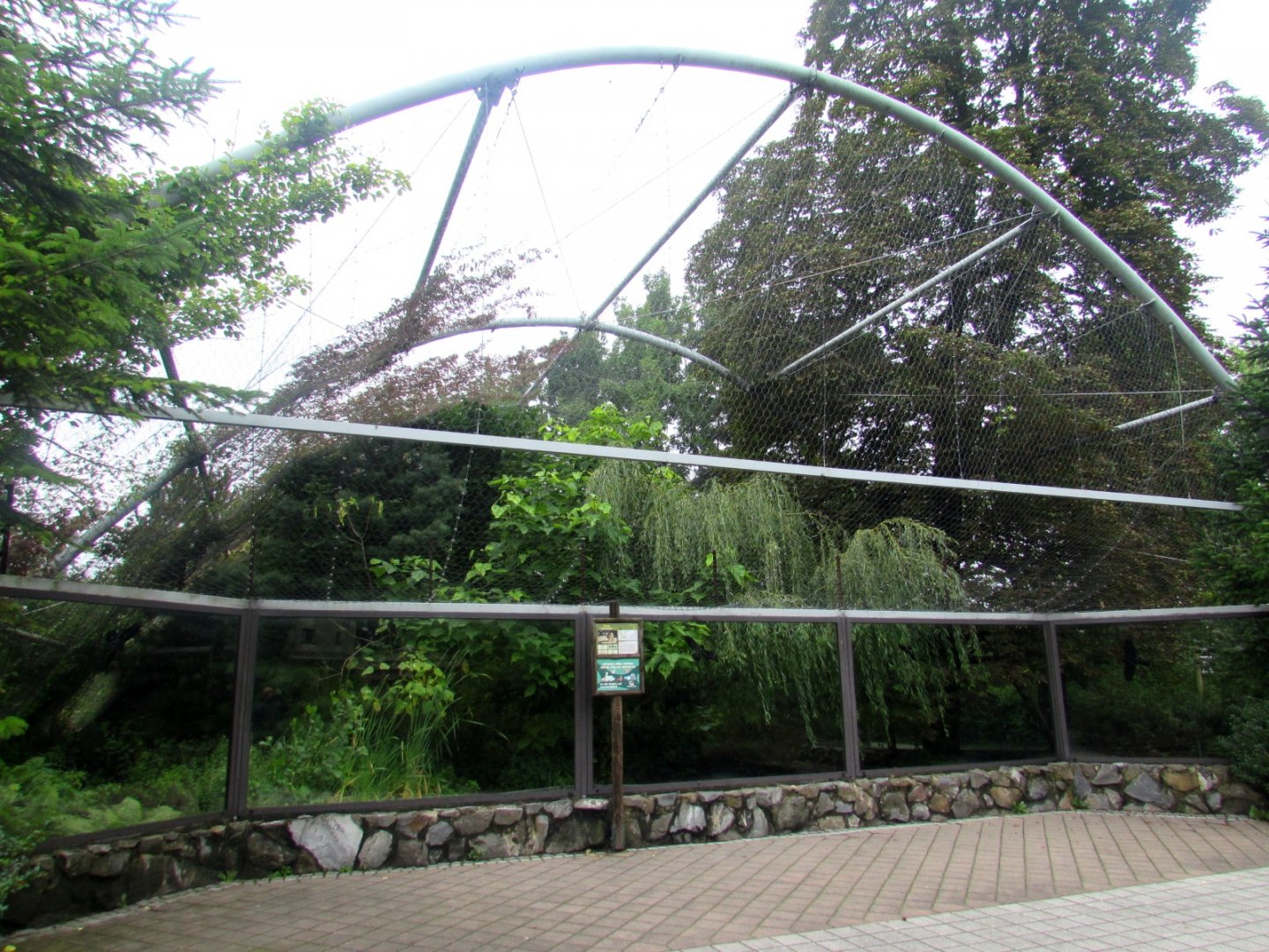 Mountain Lion (Cougar or Puma) enclosure