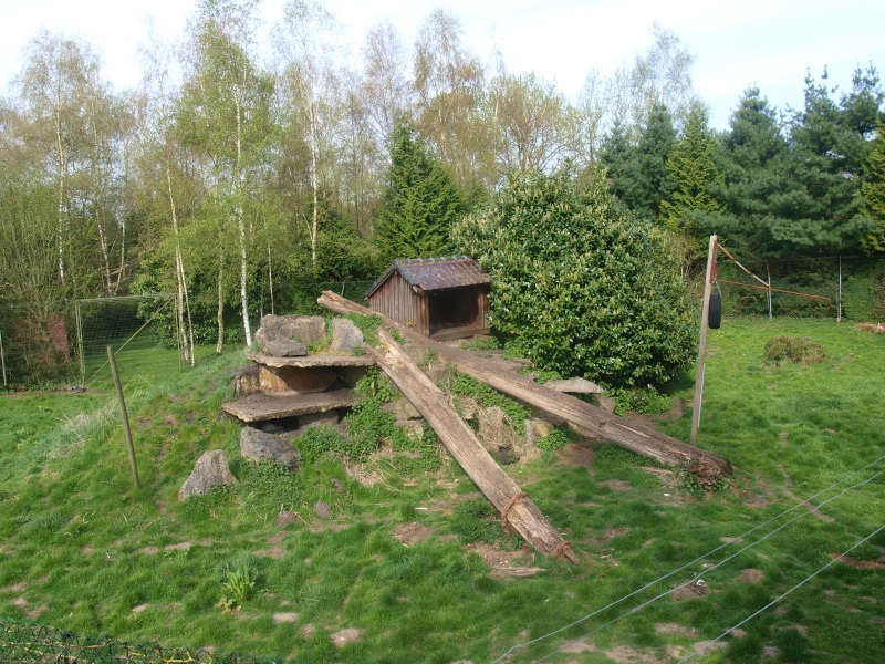 Mountain lion enclosure (April 19th, 2015)