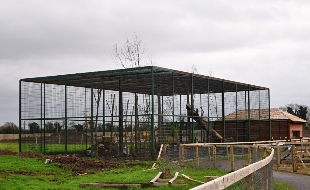 Mountain Lion enclosure, Tayto Park