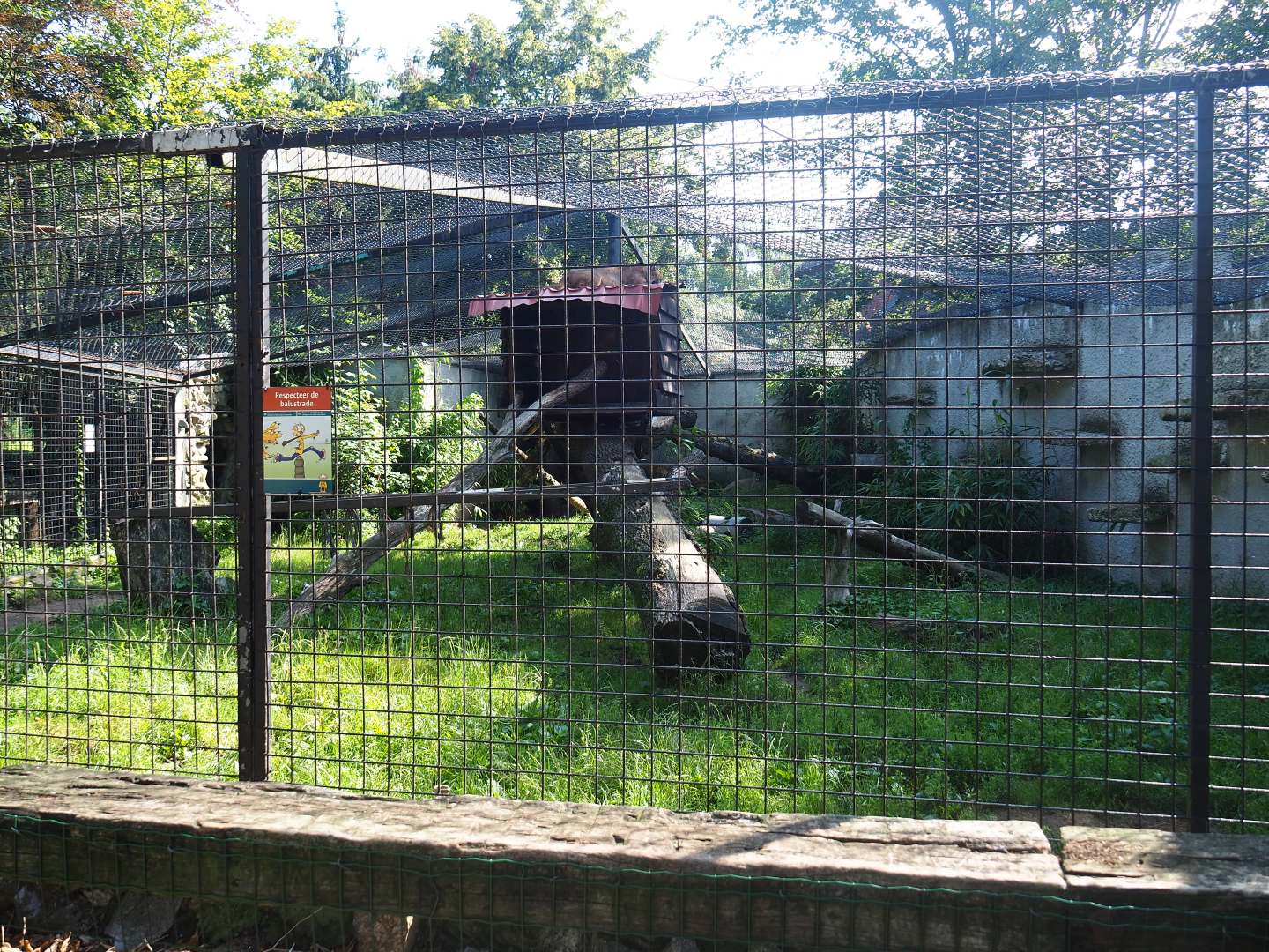 Mountain lion exhibit, 2019-08-04